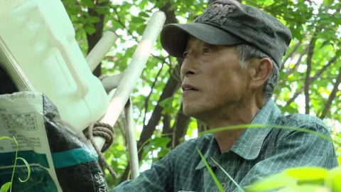 나는 자연인이다 566화