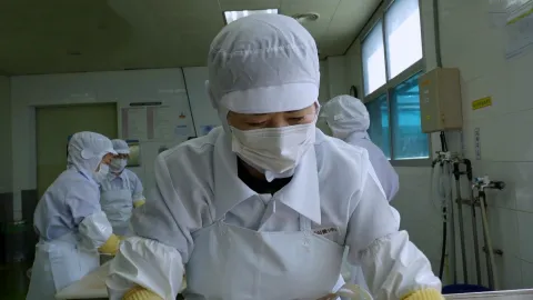 삭혀야 제맛! 젓갈의 세계