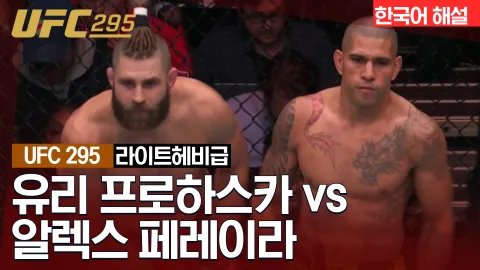 유리 프로하스카 vs 알렉스 페레이라 [UFC 295] 하이라이트