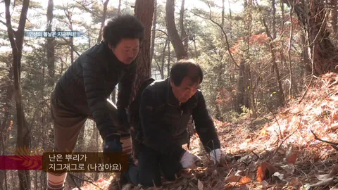 나는 자연인이다 288화