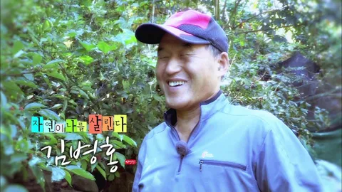 나는 자연인이다 267화