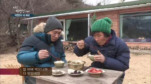 나는 자연인이다 285화