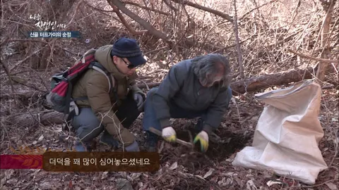 나는 자연인이다 287화
