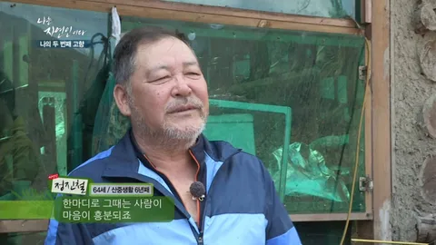 나는 자연인이다 290화