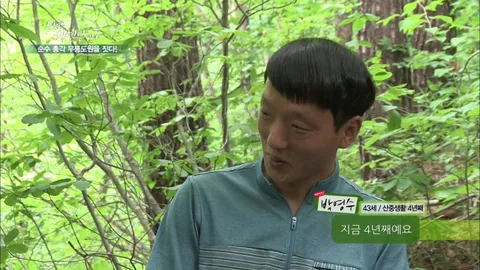 나는 자연인이다 303화