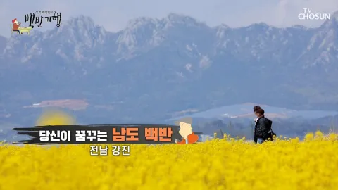 식객 허영만의 백반기행 1화