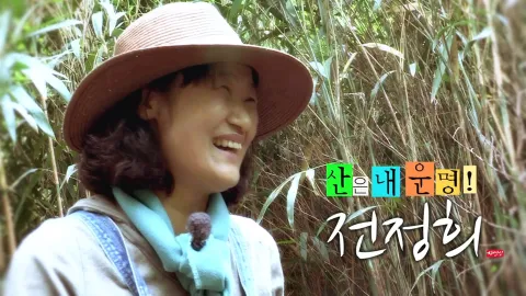 나는 자연인이다 355화