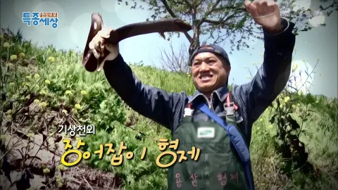 현장르포 특종세상 424화