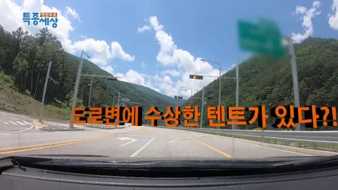 현장르포 특종세상 431화