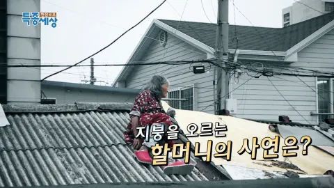 현장르포 특종세상 437화