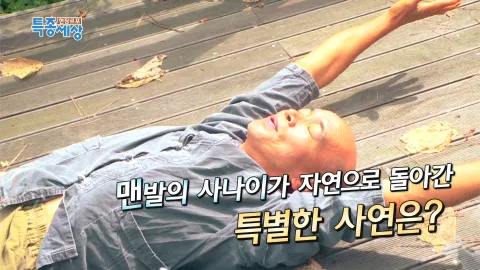 현장르포 특종세상 441화
