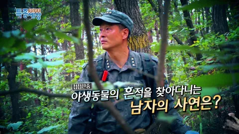 현장르포 특종세상 447화