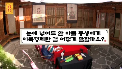 무엇이든 물어보살 87화