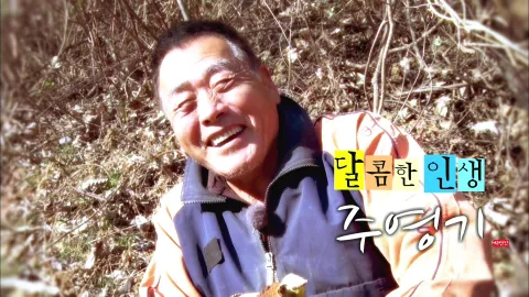 나는 자연인이다 430화