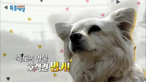 현장르포 특종세상 470화