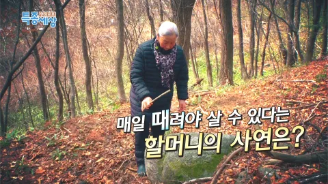 현장르포 특종세상 471화