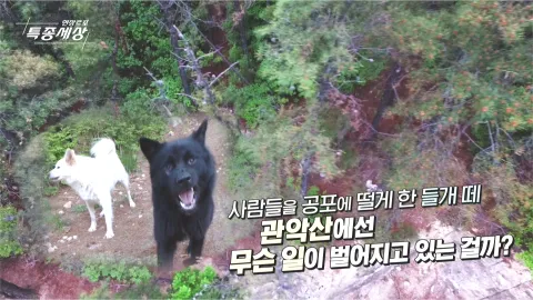 현장르포 특종세상 479화