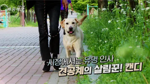 현장르포 특종세상 485화