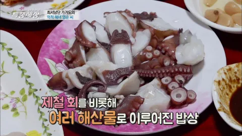 현장르포 특종세상 486화