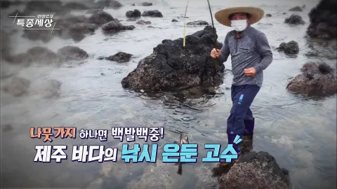 현장르포 특종세상 490화