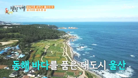 식객 허영만의 백반기행 120화