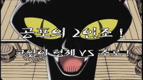 제 13 화 공포의 2인조! 고양이 형제 VS 조로!