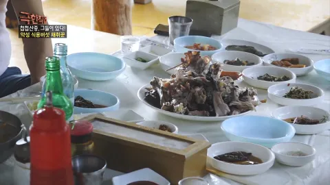 첩첩산중, 그들이 있다! - 약성 식용버섯 채취꾼
