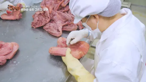 기력 돋는 건강식, 문어와 오리 그리고 장어