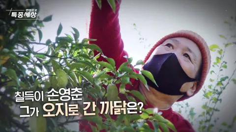 현장르포 특종세상 508화
