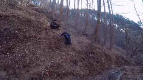 겨울 보물, 약용버섯과 굴