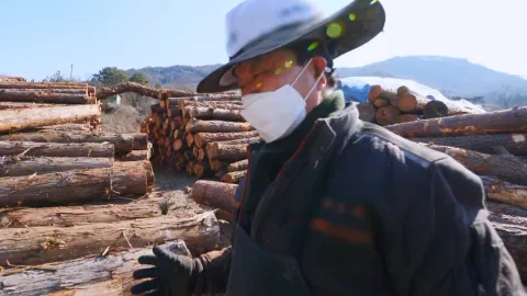 봄맞이 인테리어, 건강을 잡아라!