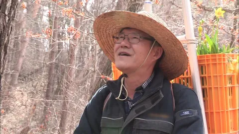 나는 자연인이다 499화