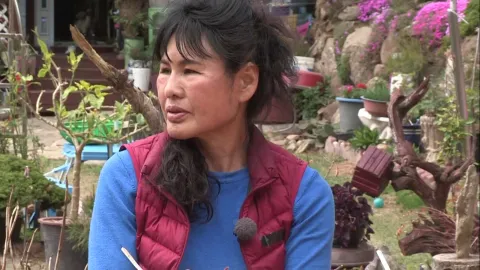 나는 자연인이다 501화