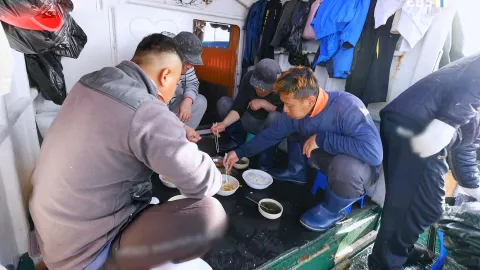 보물섬 남해, 멸치의 귀환