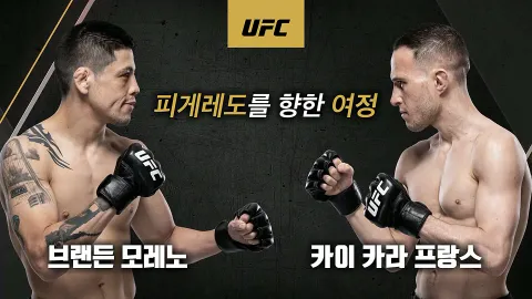 브란돈 모레노 vs 카이 카라-프랑스 [UFC 277]