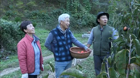 나는 자연인이다 526화