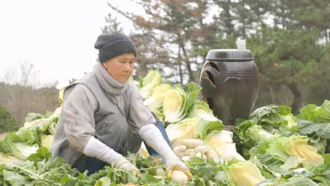 766. 내 인생, 빨간 맛 3부 혜연스님과 채개장