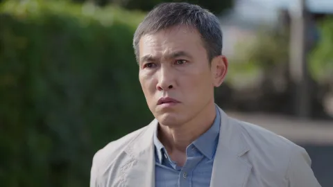 고사리 장마