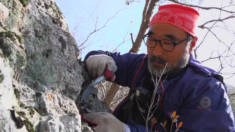 나는 자연인이다 586화