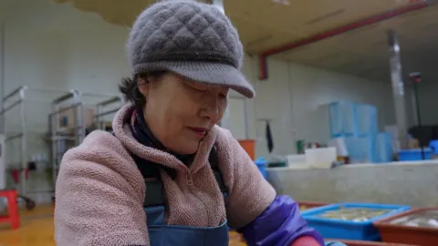 황금 대목! 설 명절의 승부사들