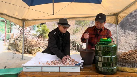 나는 자연인이다 600화