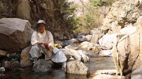 867. 산사의 봄 4부 보명 스님의 맛있는 정원