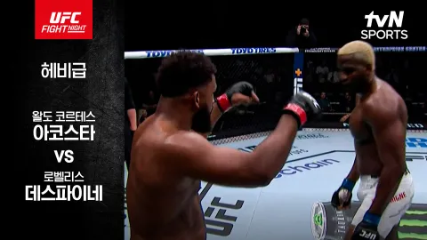 왈도 코르테스-아코스타 vs 로벨리스 데스파이네 [UFC FIGHT NIGHT] 하이라이트