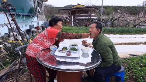869. 그리운 봄날 1부 엄마의 장터
