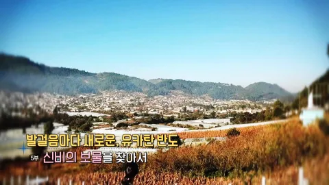 5. 발걸음마다 새로운, 유카탄 반도- 신비의 보물을 찾아서