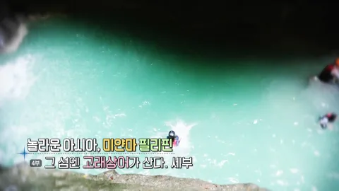 24. 놀라운 아시아, 미얀마 필리핀 - 그 섬엔 고래상어가 산다. 세부