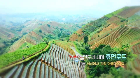 33. 인도네시아 휴먼 로드- 세상에서 가장 아름다운 길