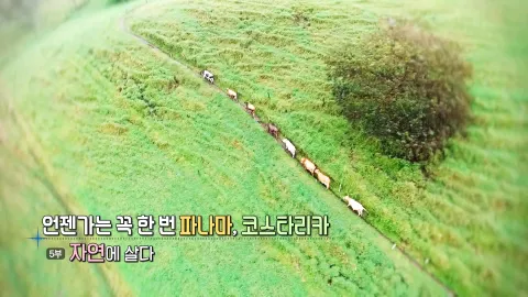 45. 언젠가는 꼭 한번, 파나마 코스타리카- 자연에 살다
