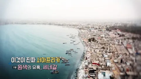 61. 이것이 진짜 서아프리카- 원색의 유혹, 세네갈