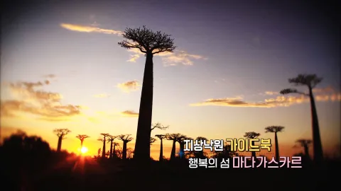 102. 지상낙원 가이드북, 행복의 섬 마다가스카르